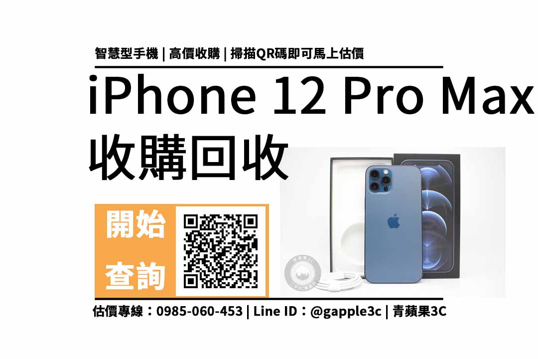 iphone 12 pro max (256gb)